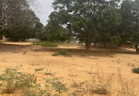 Comprar VENDE-SE QUINTA NO KIKUXI LUANDA