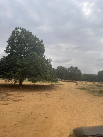 VENDE-SE QUINTA NO KIKUXI LUANDA