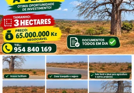 Comprar Terreno de 3 Hectares em Catete Cabiri por 65 Milhões. Negociável