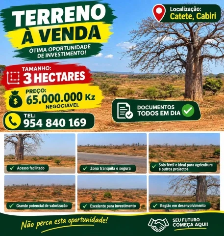 Terreno de 3 Hectares em Catete Cabiri por 65 Milhões. Negociável
